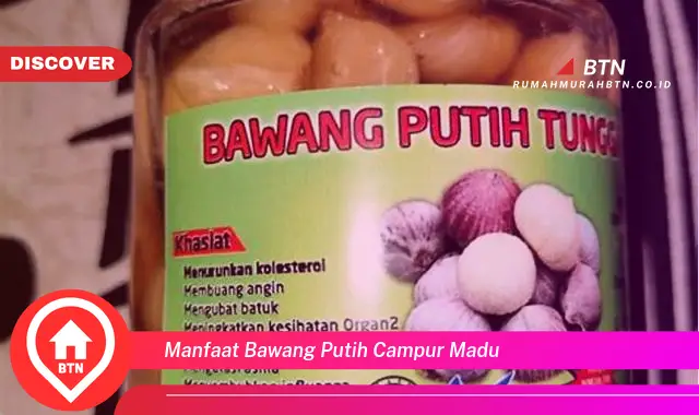 manfaat bawang putih campur madu