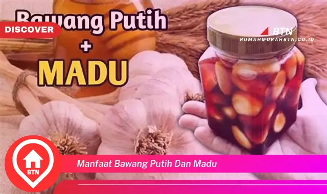 manfaat bawang putih dan madu