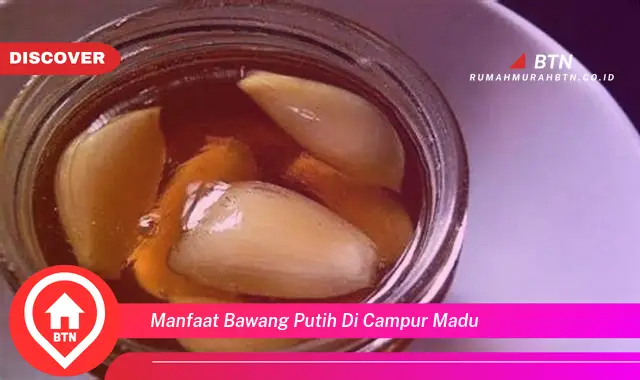 manfaat bawang putih di campur madu