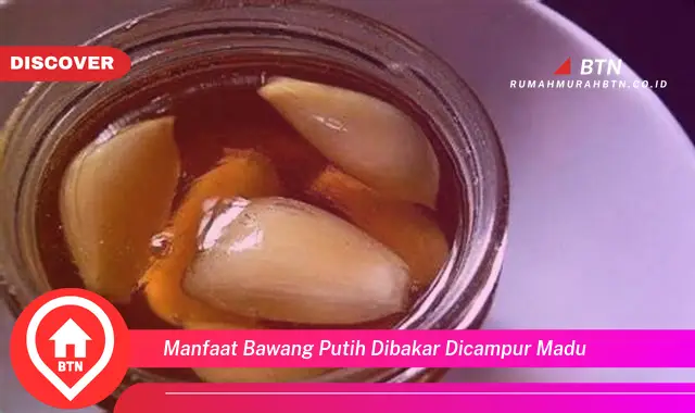 manfaat bawang putih dibakar dicampur madu