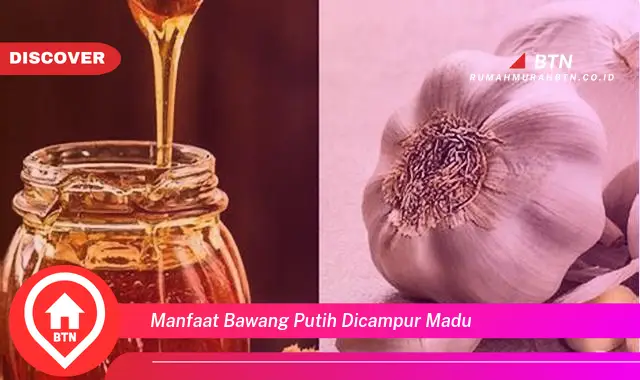 manfaat bawang putih dicampur madu