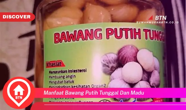 manfaat bawang putih tunggal dan madu