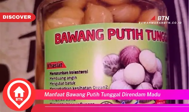 manfaat bawang putih tunggal direndam madu