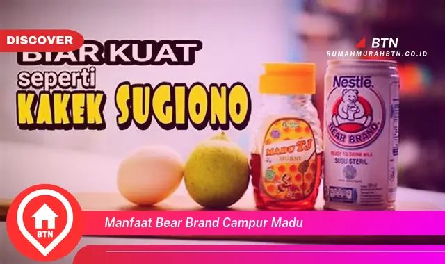 manfaat bear brand campur madu