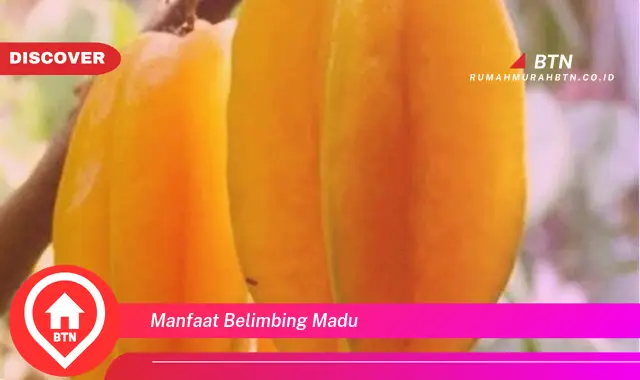 manfaat belimbing madu