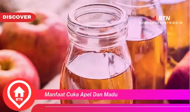 manfaat cuka apel dan madu