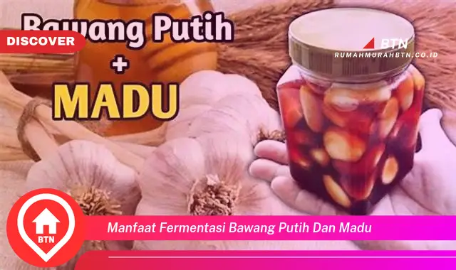 manfaat fermentasi bawang putih dan madu