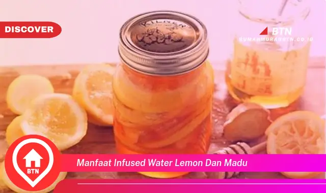 manfaat infused water lemon dan madu