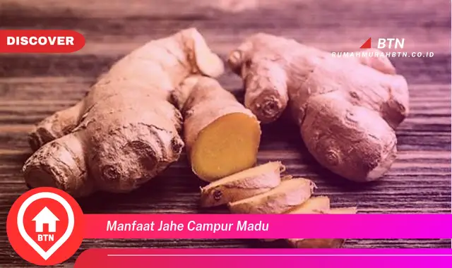 manfaat jahe campur madu