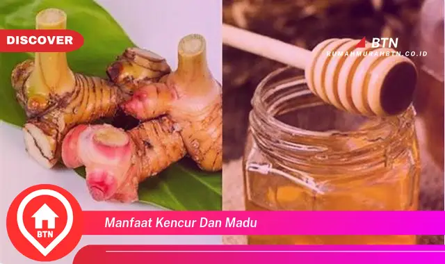 manfaat kencur dan madu