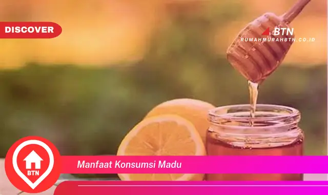 manfaat konsumsi madu