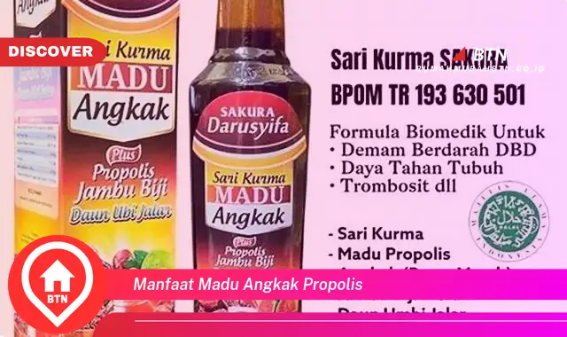 manfaat madu angkak propolis