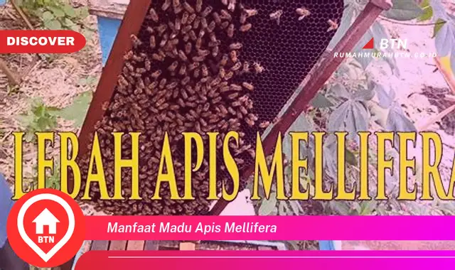 manfaat madu apis mellifera