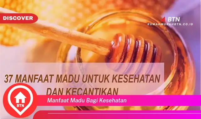 manfaat madu bagi kesehatan