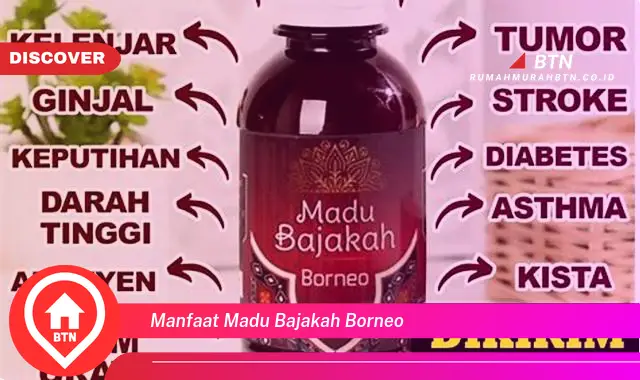 manfaat madu bajakah borneo