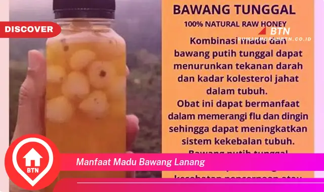 manfaat madu bawang lanang