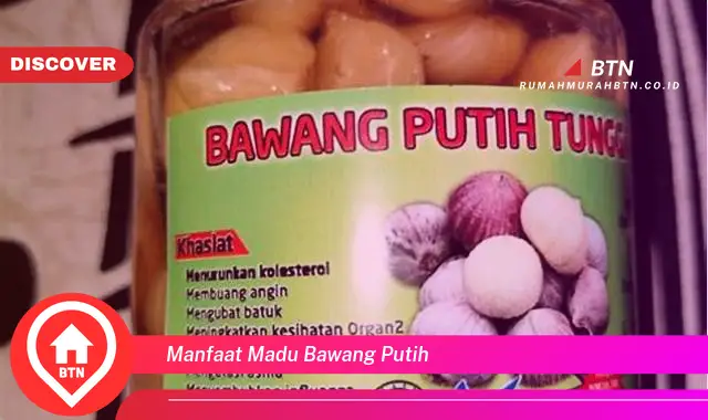 manfaat madu bawang putih