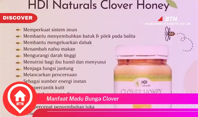 manfaat madu bunga clover