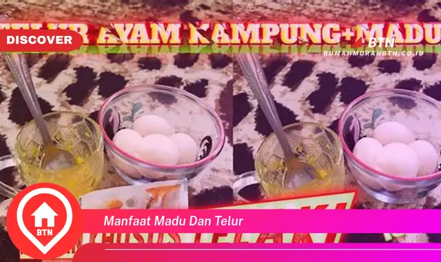 manfaat madu dan telur