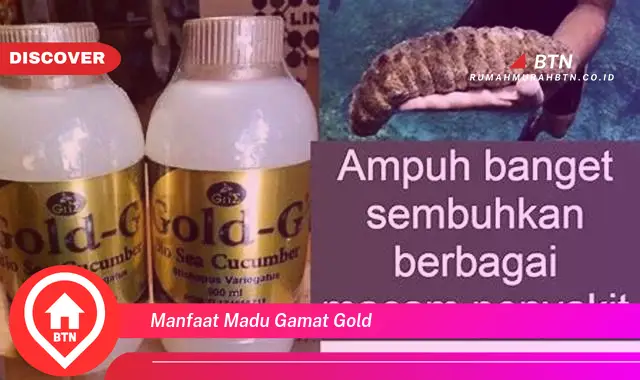 manfaat madu gamat gold