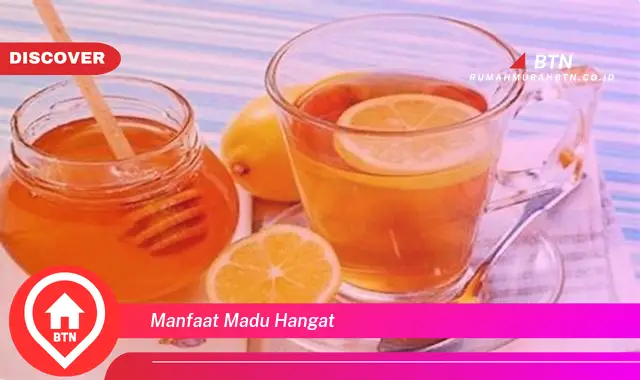 manfaat madu hangat