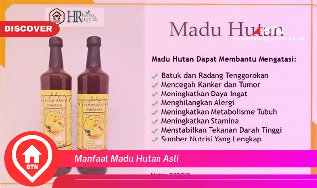 manfaat madu hutan asli