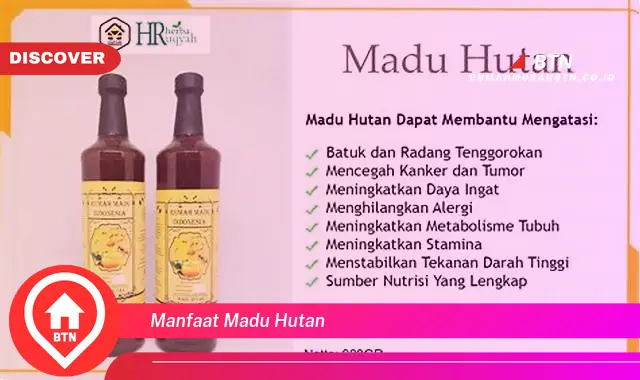 manfaat madu hutan