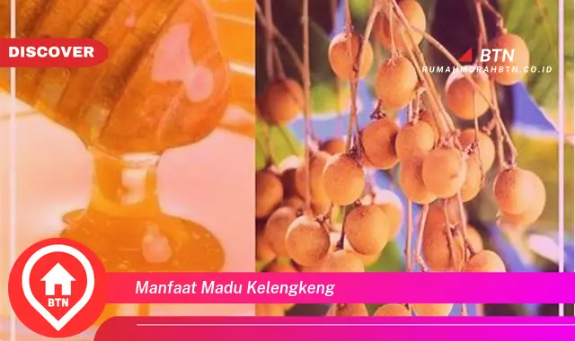 manfaat madu kelengkeng