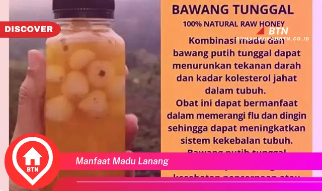 manfaat madu lanang