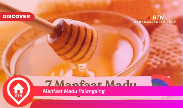 manfaat madu pelangsing