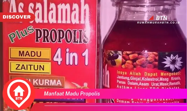 manfaat madu propolis