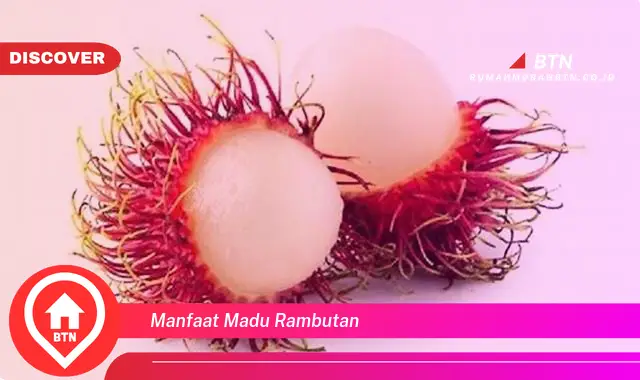 manfaat madu rambutan