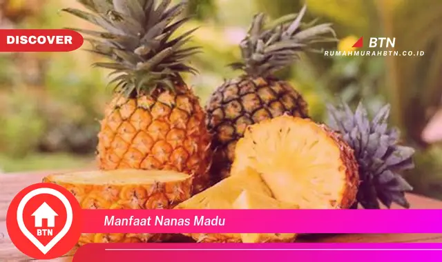 manfaat nanas madu