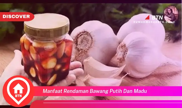 manfaat rendaman bawang putih dan madu