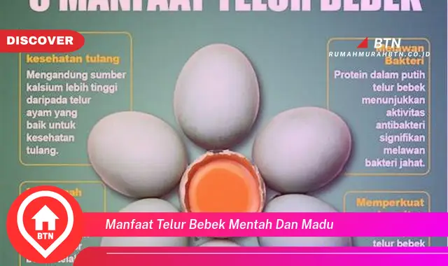 manfaat telur bebek mentah dan madu