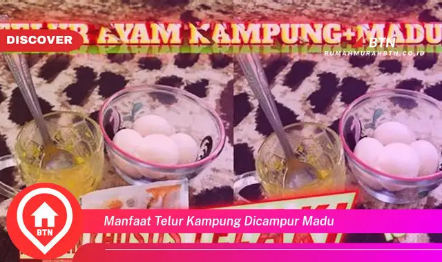 manfaat telur kampung dicampur madu