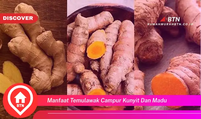 manfaat temulawak campur kunyit dan madu