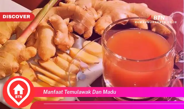 manfaat temulawak dan madu