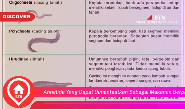 annelida yang dapat dimanfaatkan sebagai makanan berprotein tinggi adalah