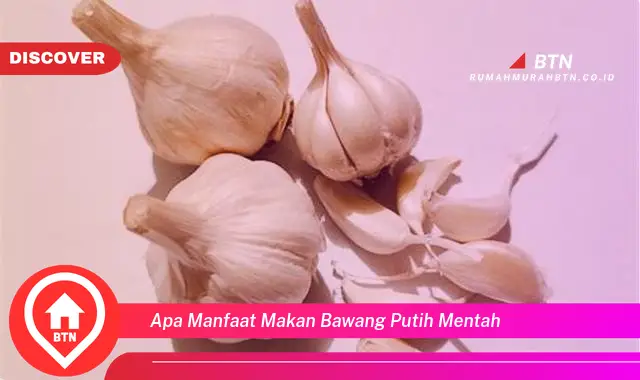 apa manfaat makan bawang putih mentah