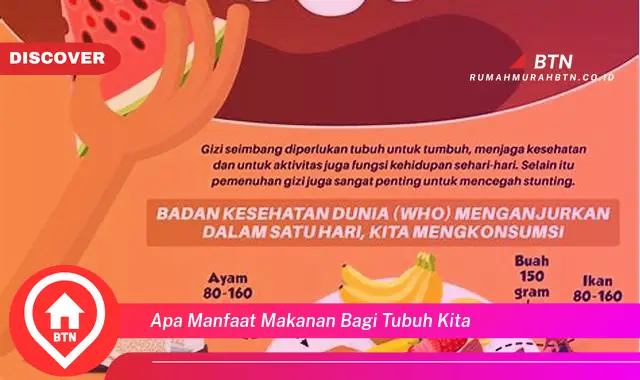 apa manfaat makanan bagi tubuh kita