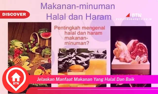 jelaskan manfaat makanan yang halal dan baik