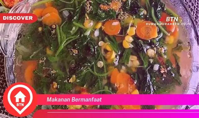 makanan bermanfaat