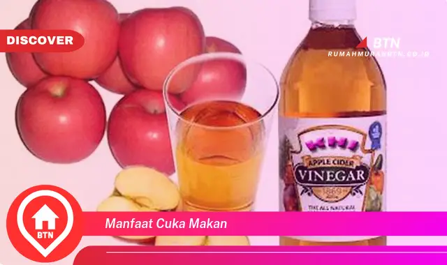 manfaat cuka makan