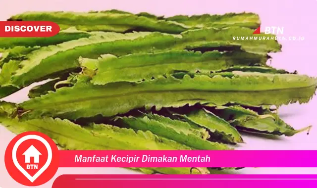 manfaat kecipir dimakan mentah