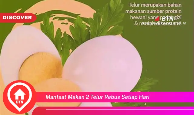 manfaat makan 2 telur rebus setiap hari