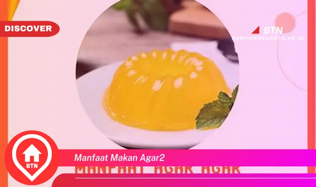 manfaat makan agar2