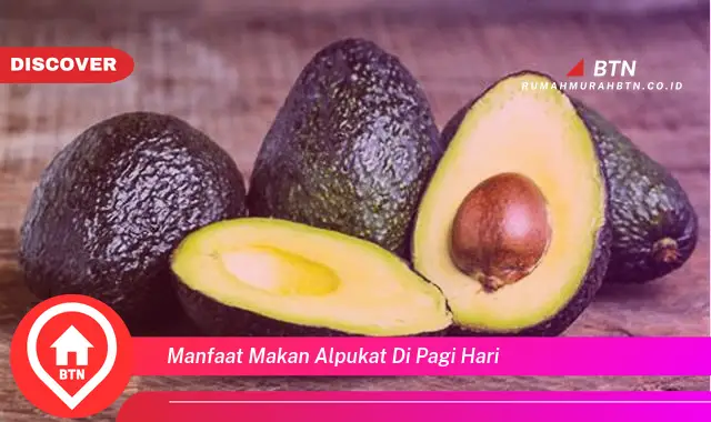 manfaat makan alpukat di pagi hari