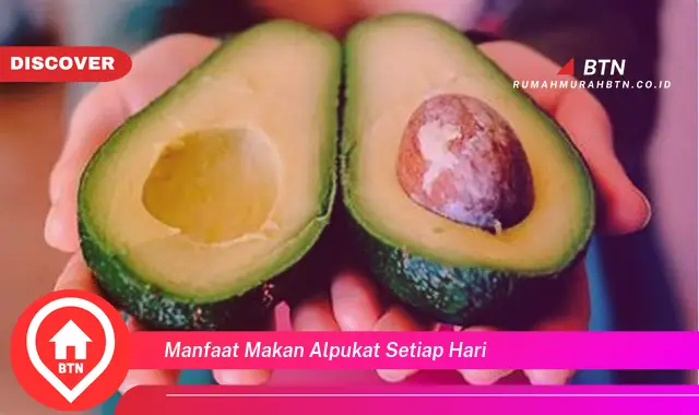 manfaat makan alpukat setiap hari