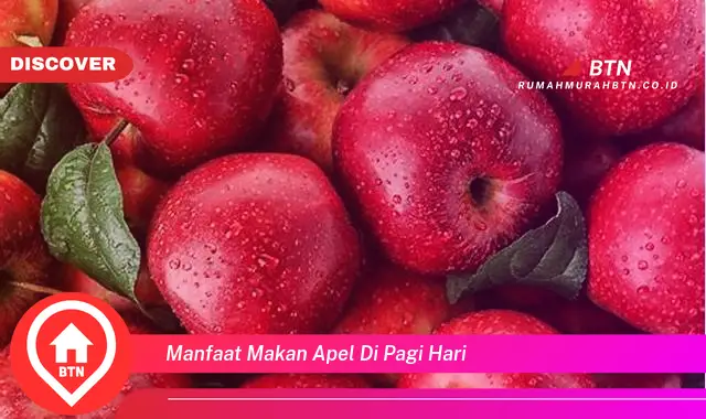 manfaat makan apel di pagi hari